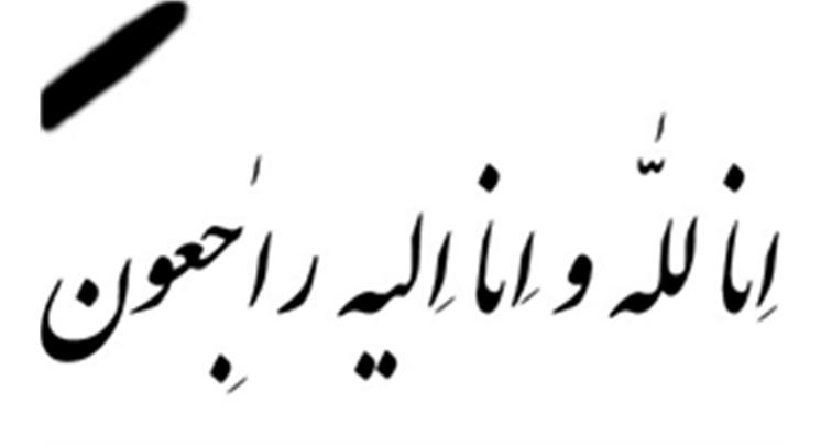 مراسم تششیع پیکر پویان امیری در بهشت رضوان