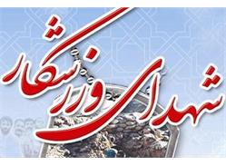 *پروانه‌های میدان؛* *۴۲ فریاد خاموش در هیاهوی ورزش ایران*