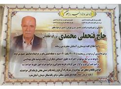 تسلیت انجمن ورزشی نویسان ایران به محمود محمدی