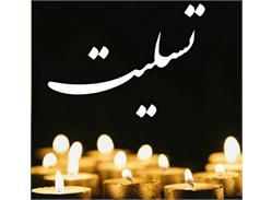 تسلیت انجمن ورزشی نویسان ایران به برادران قراگوزلو